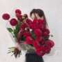 29 красных георгин фото 4